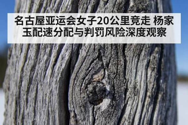 名古屋亚运会女子20公里竞走 杨家玉配速分配与判罚风险深度观察