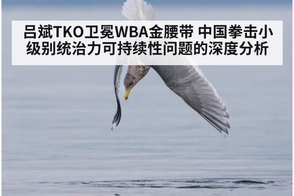 吕斌TKO卫冕WBA金腰带 中国拳击小级别统治力可持续性问题的深度分析